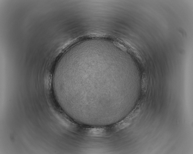 X0000112100168200909011132
