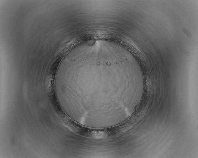 X0000112100169200909011132