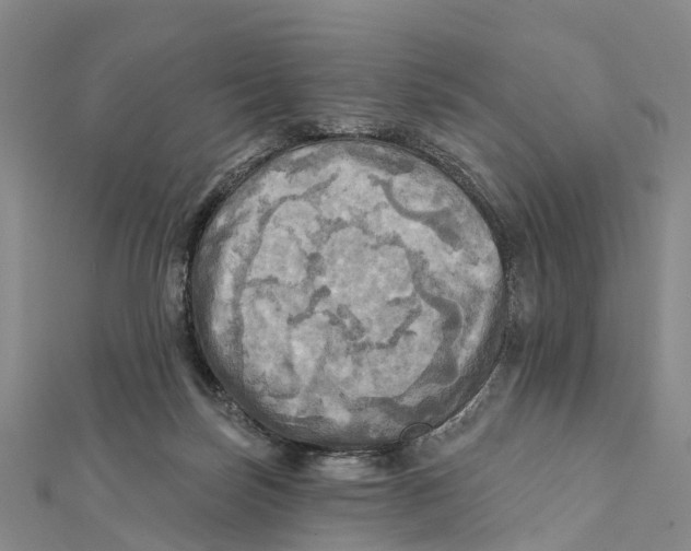 X0000112100171200909011132