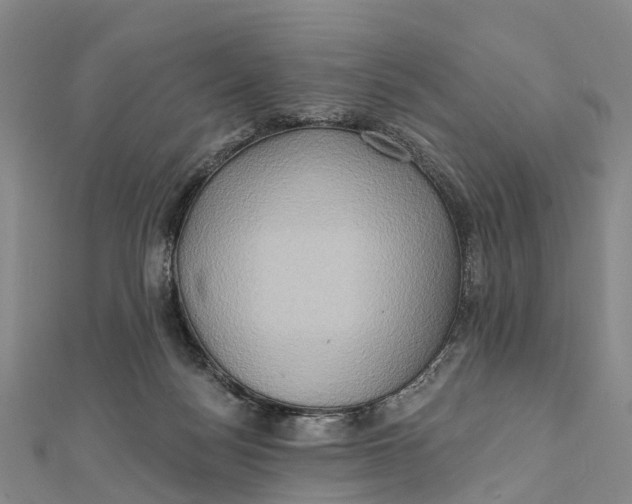X0000112100172200909011132
