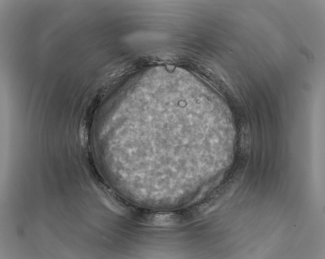 X0000112100173200909011132
