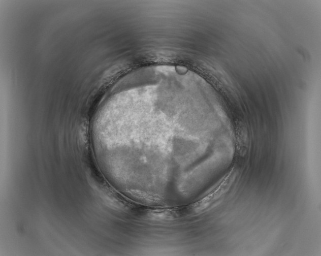 X0000112100175200909011132