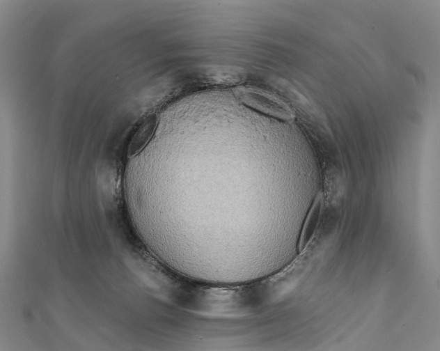 X0000112100176200909011132