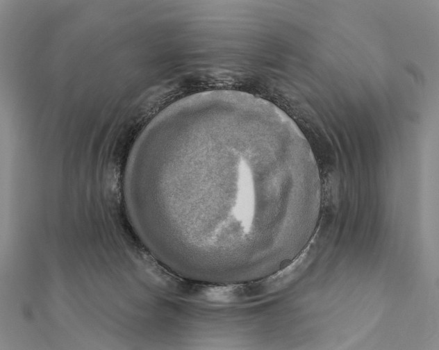 X0000112100178200909011132
