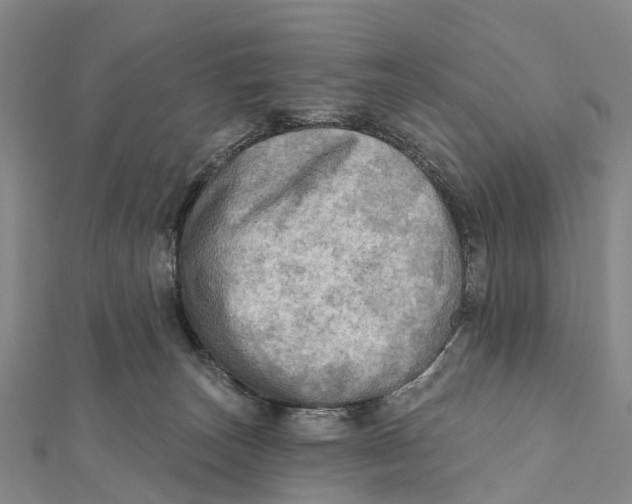 X0000112100179200909011132