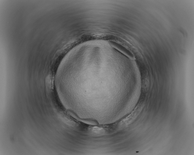 X0000112100180200909011132