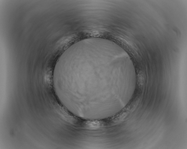 X0000112100181200909011132