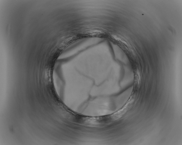 X0000112100182200909011132