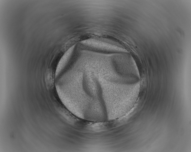 X0000112100186200909011132