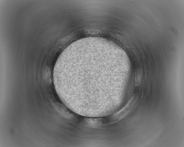 X0000112100187200909011132