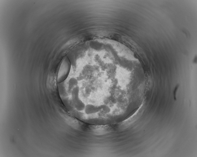 X0000112100191200909011132