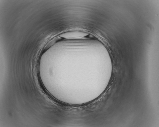 X0000112100193200909011131