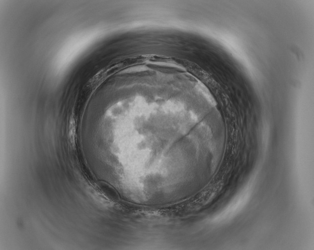 X0000112100194200909011131