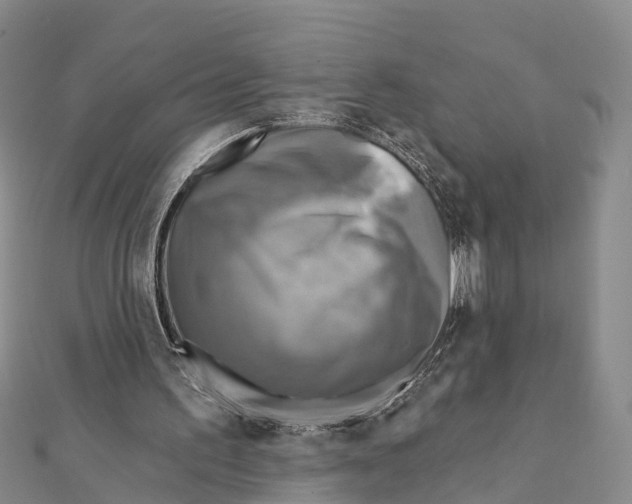 X0000112100195200909011131