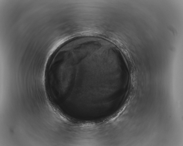 X0000112100196200909011131