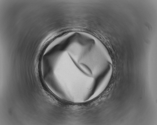 X0000112100197200909011131