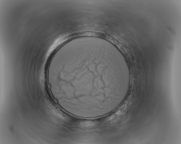 X0000112100198200909011131
