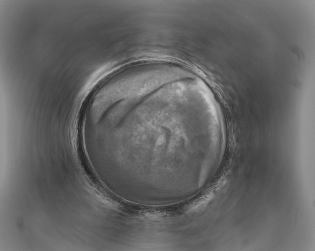 X0000112100199200909011131