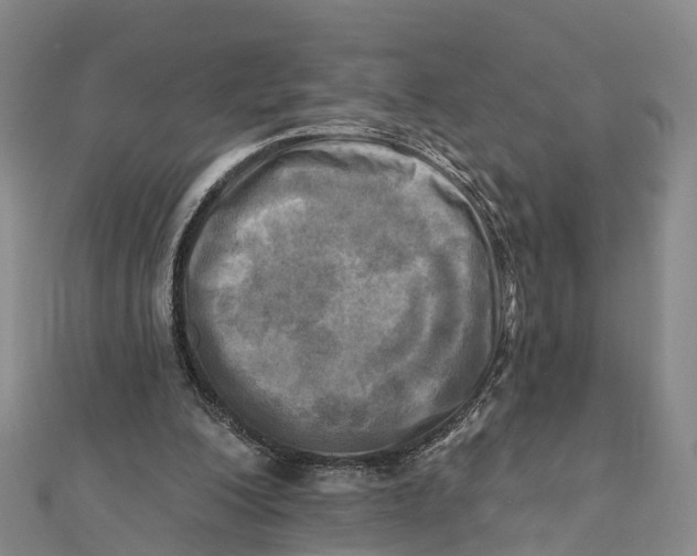 X0000112100200200909011131