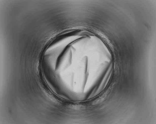 X0000112100201200909011131