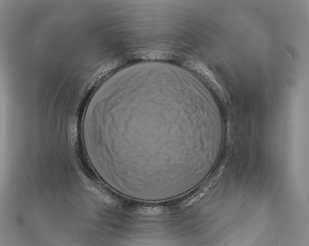 X0000112100202200909011131