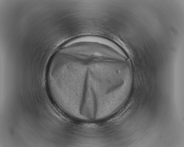 X0000112100203200909011131