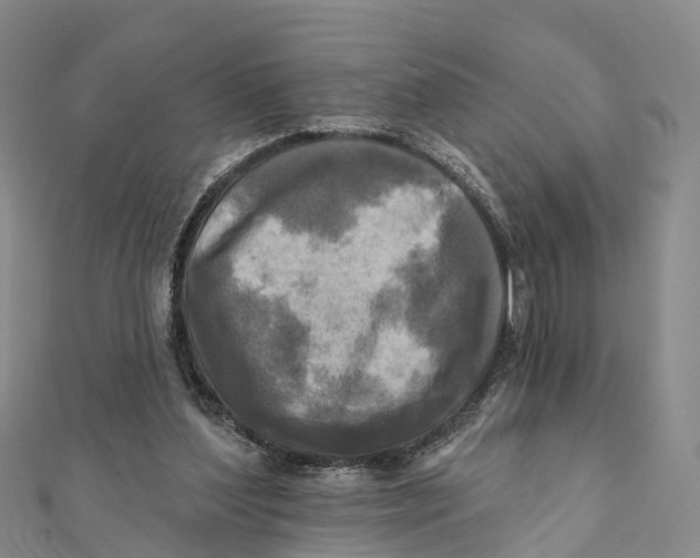X0000112100204200909011131