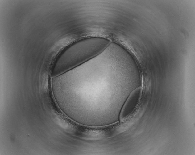 X0000112100205200909011131