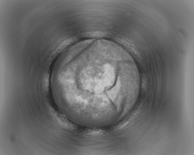 X0000112100206200909011131