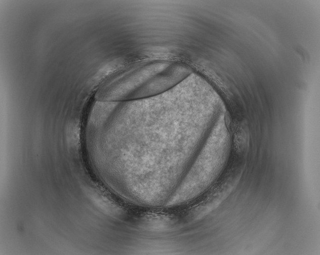 X0000112100207200909011131