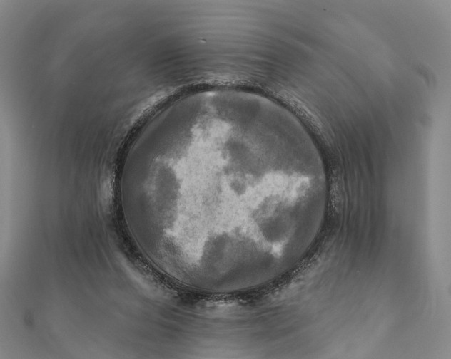 X0000112100208200909011131