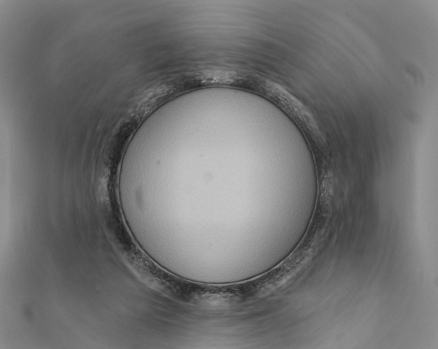 X0000112100209200909011131