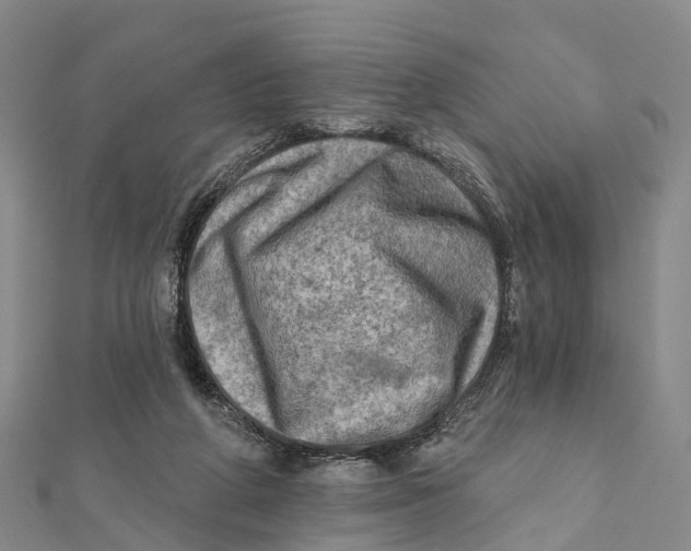 X0000112100210200909011131