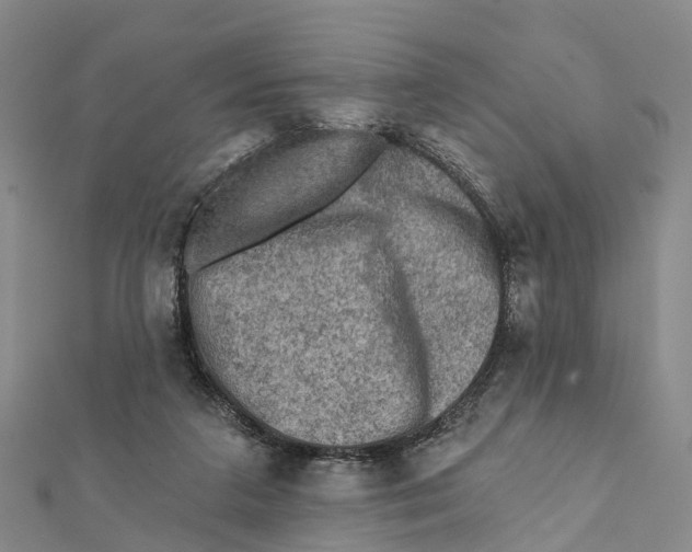 X0000112100211200909011131