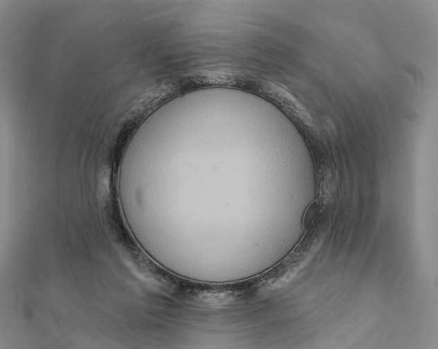 X0000112100213200909011131