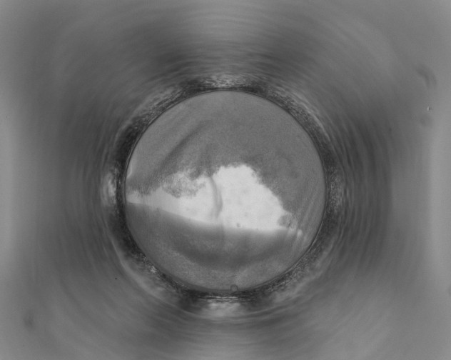 X0000112100214200909011131