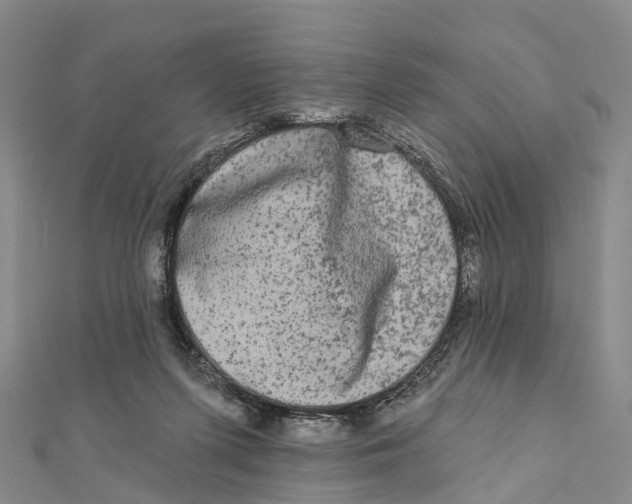 X0000112100215200909011131