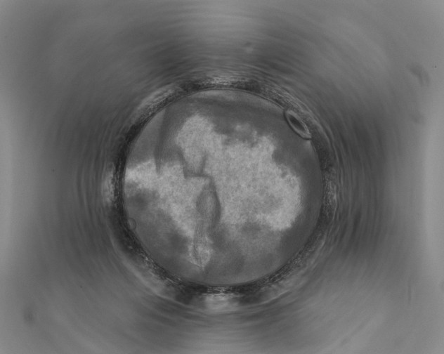 X0000112100216200909011131