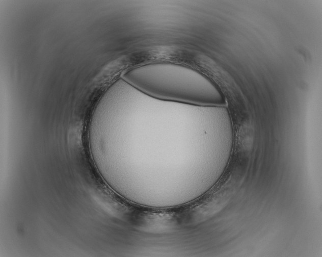 X0000112100217200909011131