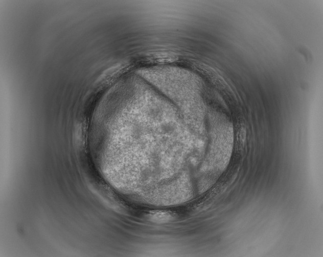 X0000112100218200909011131