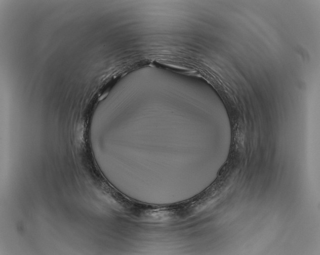 X0000112100219200909011131