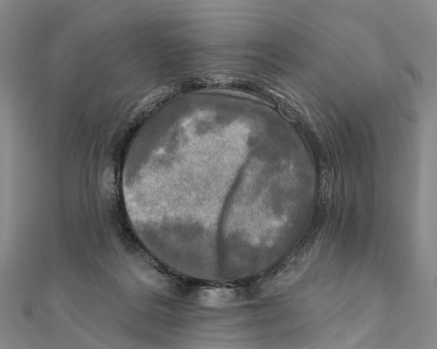 X0000112100220200909011131