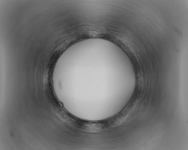 X0000112100221200909011131