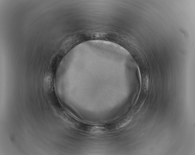 X0000112100222200909011131