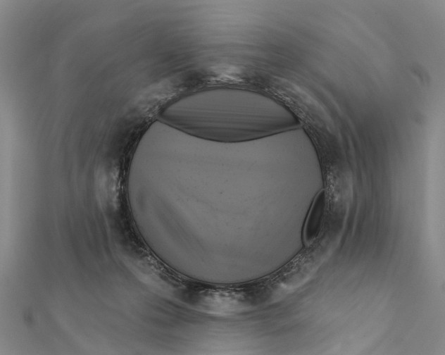 X0000112100223200909011131