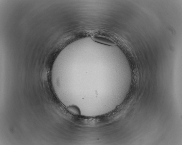 X0000112100225200909011131