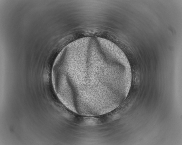 X0000112100226200909011131