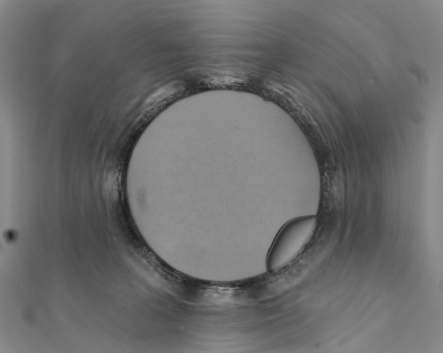 X0000112100227200909011131