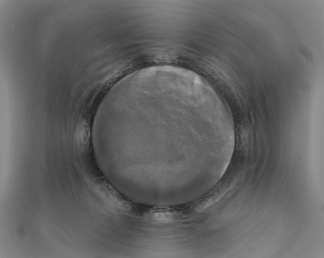 X0000112100228200909011131