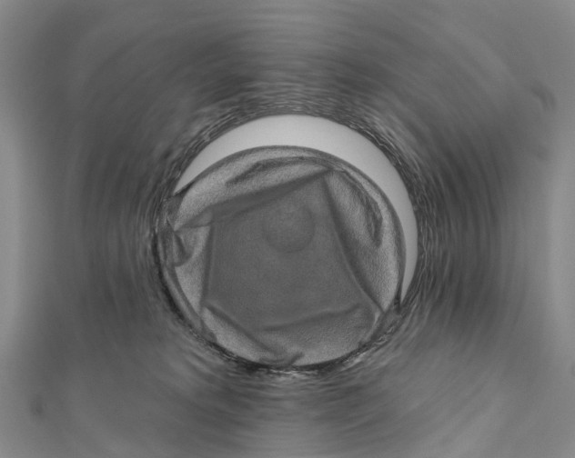 X0000112100229200909011131